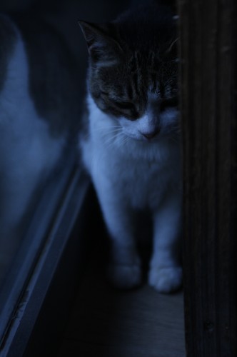 2012-07-15-15.40.27-332x500