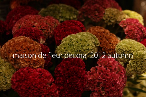 2012-09-07-18.48.48-500x332