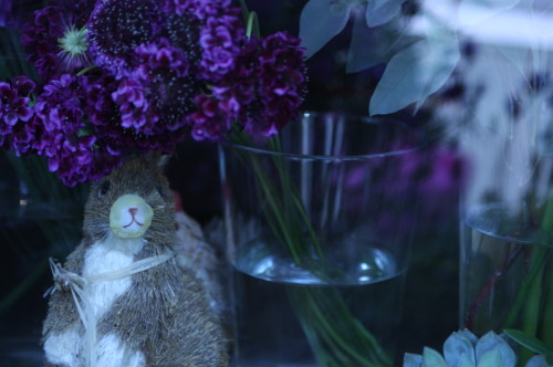 2013-03-09-11.54.24-500x332