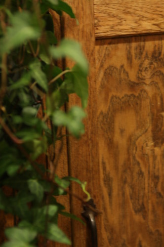 2013-03-09-19.46.32-332x500