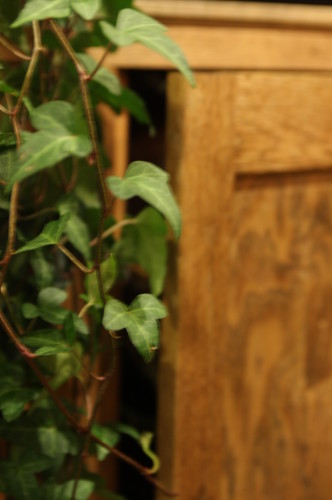 2013-03-09-19.46.46-332x500