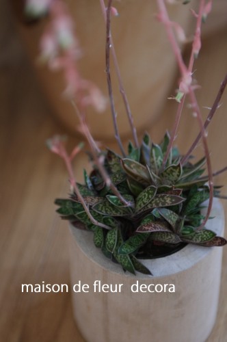 2013-04-04-10.05.09-332x500