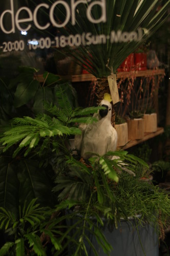 2013-04-10-19.46.10-332x500