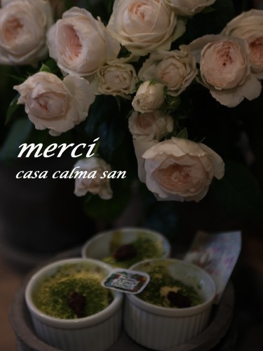 2013-04-11-17.51.01-375x500