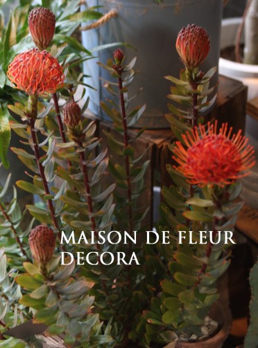 2013-04-21-17.05.43-372x500