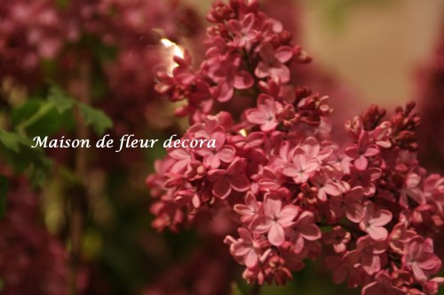 2013-04-30-18.08.01-500x332