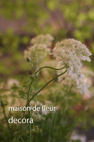 2013-05-18-12.46.51-332x500