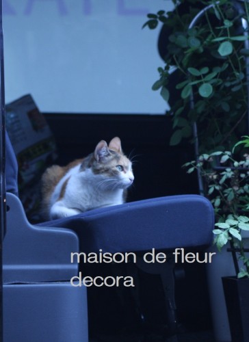 2013-05-30-10.50.50-364x500