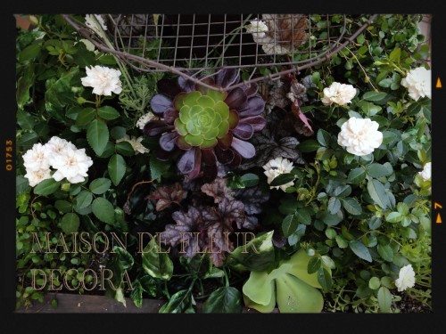 2013-06-15-21.14.44-500x375