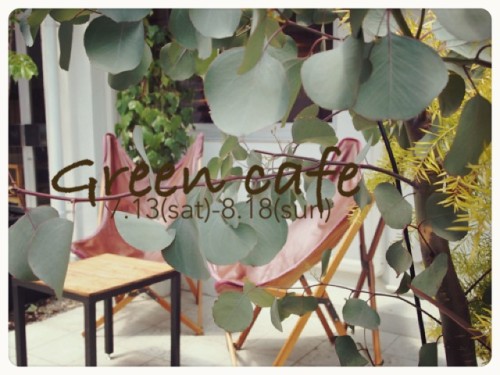 2013-07-15-14.14.54-500x375