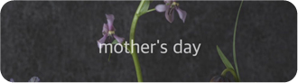 mother's day 2026