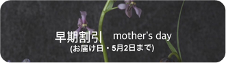 mother's day 2026 早期割引
